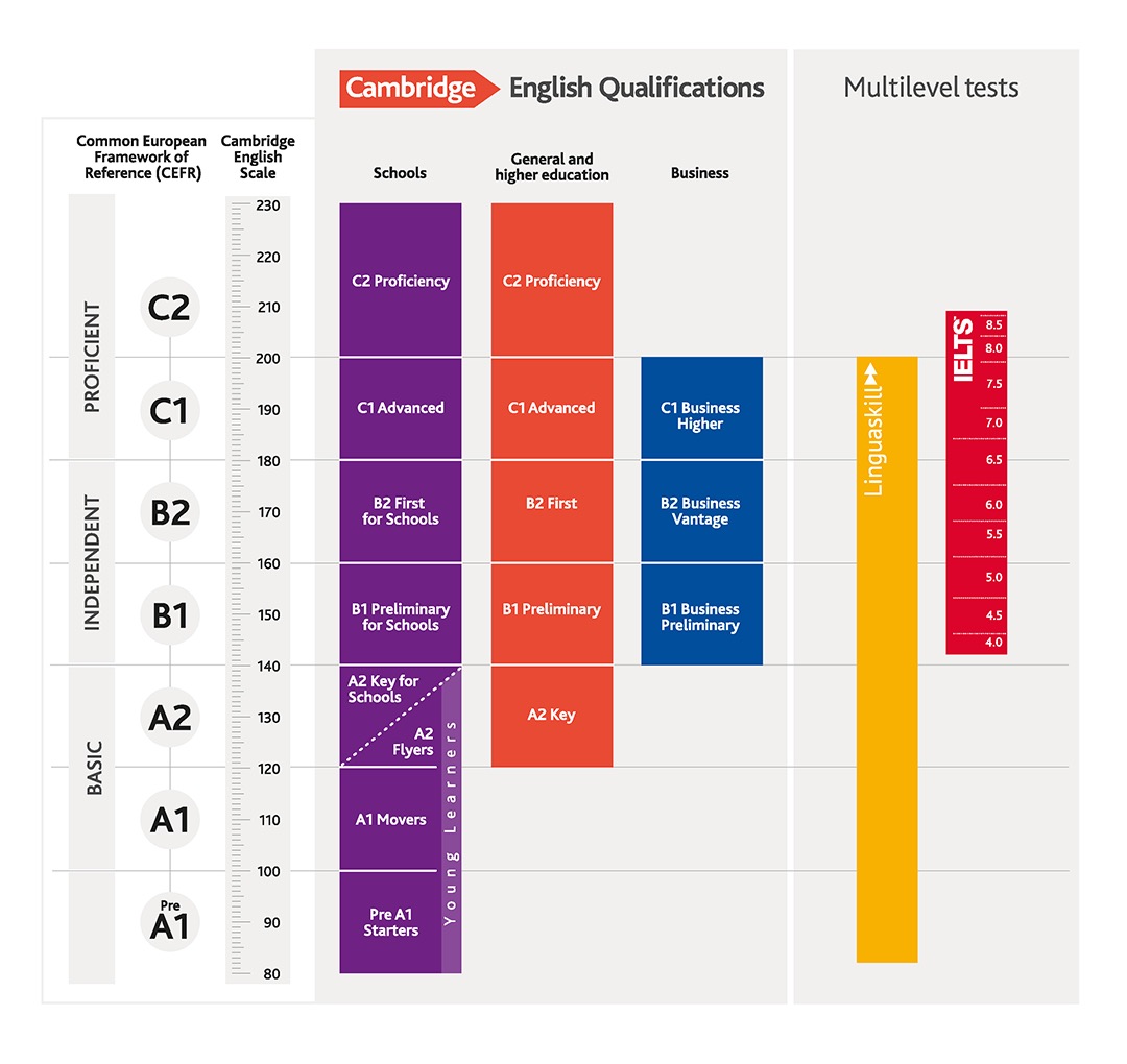 IELTS Results