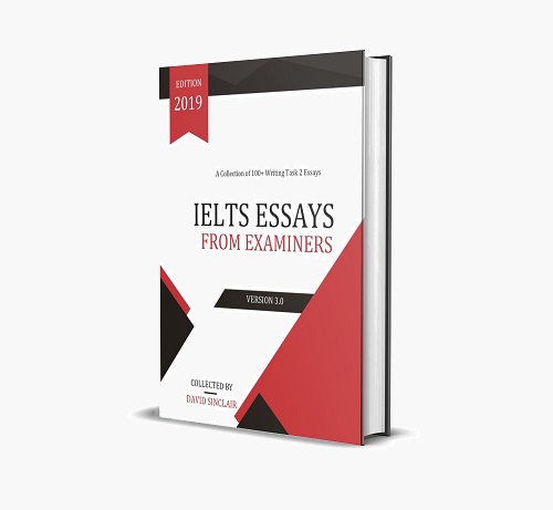 دانلود کتاب Essays From Examiners 2019
